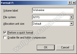 usb format
