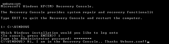 19p-recovery-console-screen.gif